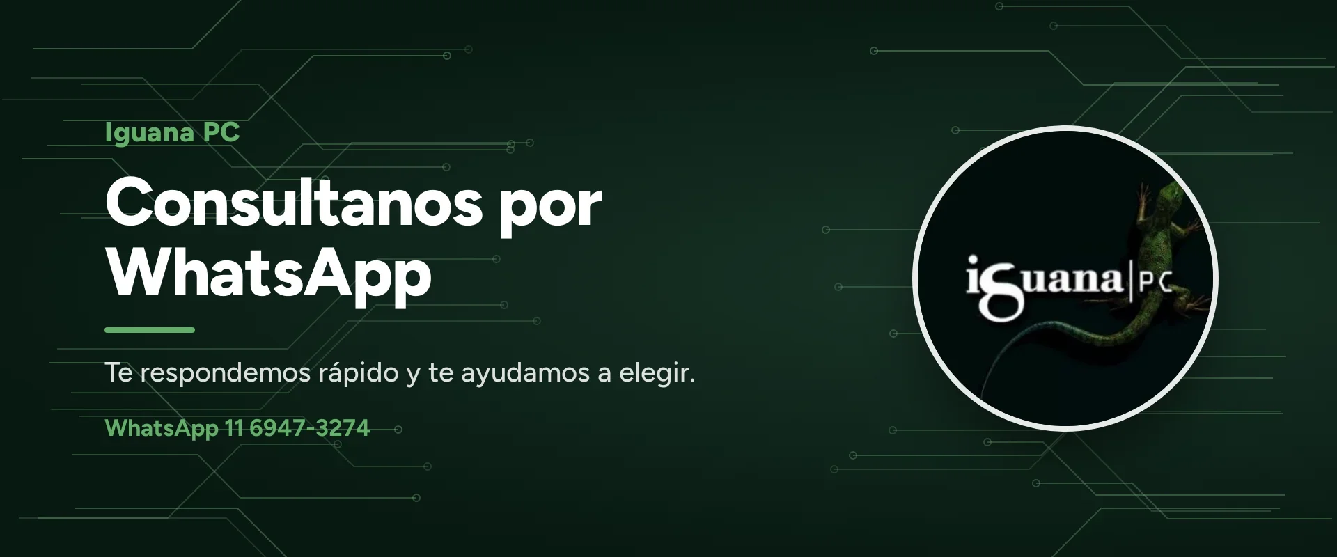 Iguana PC