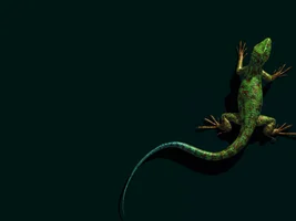 Iguana PC